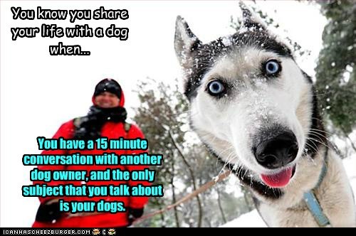 Life with Dogs XXV