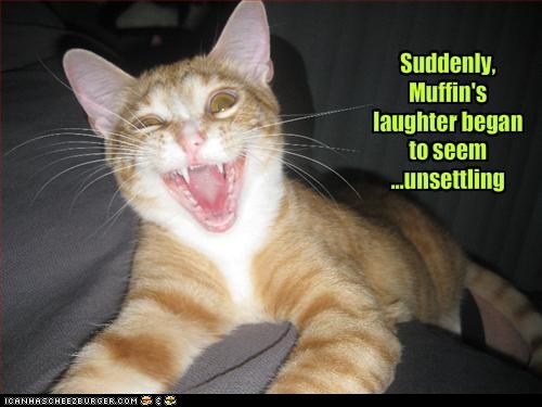 Lolcats: Classic LOLcat - HAHAHAHAHAHA.... Uh...