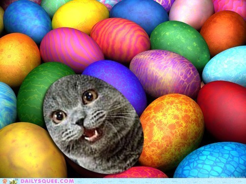 Join Our Easter Egg Hunt!