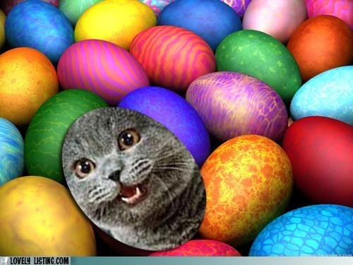 Join Our Easter Egg Hunt!