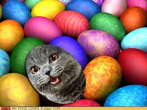 Join Our Easter Egg Hunt!