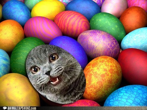 Join Us for an Easter Egg Hunt This Sunday!