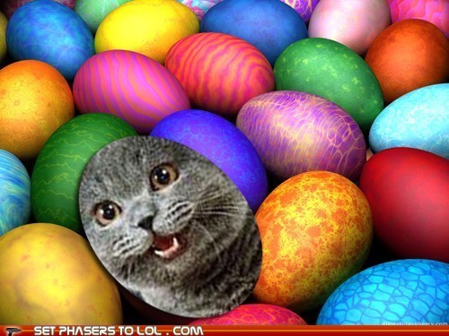 Join Us for an Easter Egg Hunt This Sunday