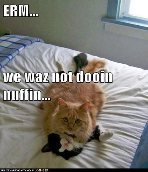 ERM... we waz not dooin nuffin...