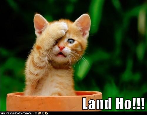 Land Ho!!!