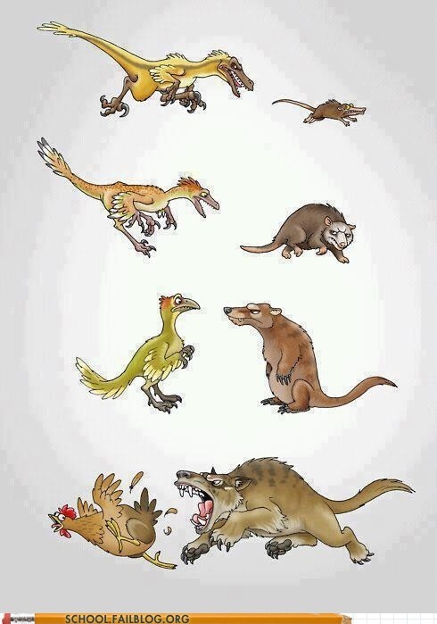 Biology 101: Evolution is an Unforgiving Force