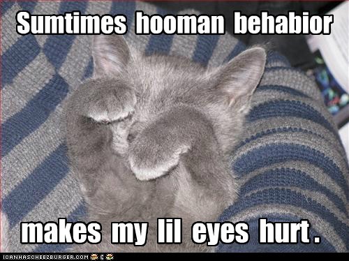 Sumtimes  hooman  behabior