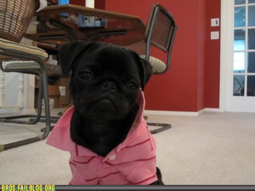 Bros: Ladies <3 teh Pink Brolo Shirt With teh Popped Colla