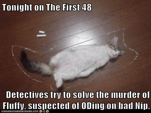 Lolcats: Tonight on The First 48