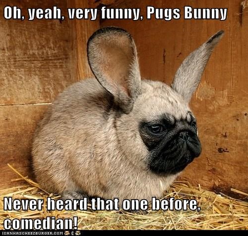 Oh, yeah, very funny, Pugs Bunny  Never heard that one before, comedian!