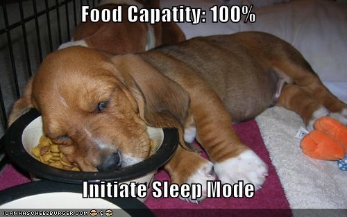 Food Capatity: 100%  Initiate Sleep Mode
