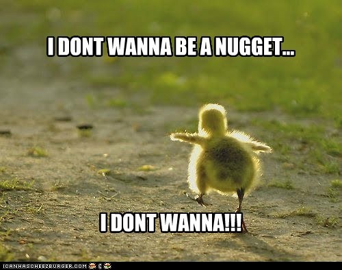 Animal Capshunz: Run Free