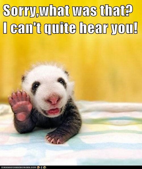 Sorry,what was that? I can't quite hear you!