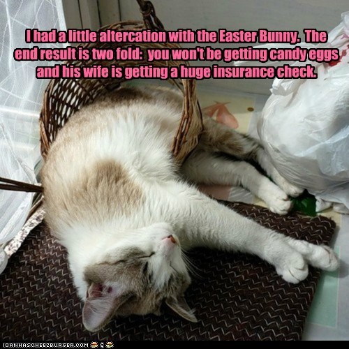 Lolcats: Bunny overated anyway.