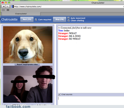 Never Seen a Dog Before?