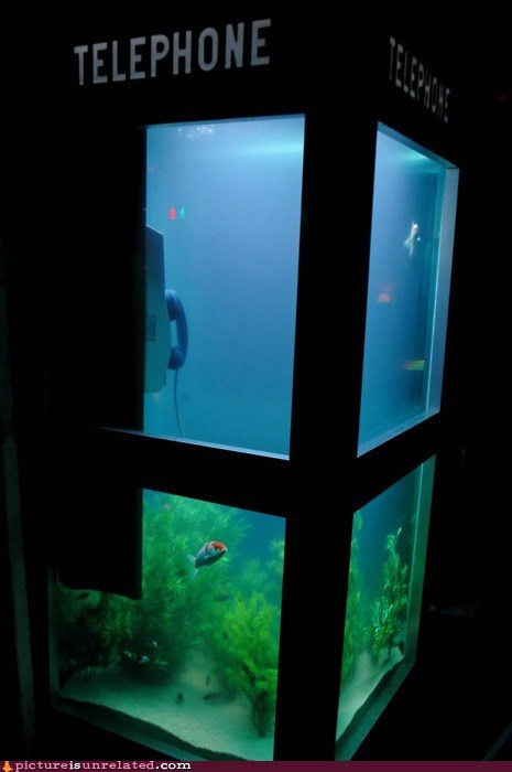 Telephone Booth Aquarium