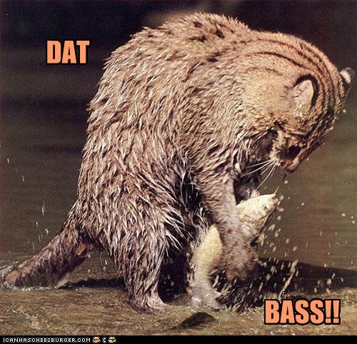 Itz a Byoot!