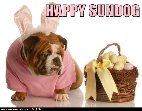 Happy Easter Sundog!