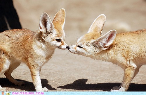 Squee Spree: Sniffy Kisses