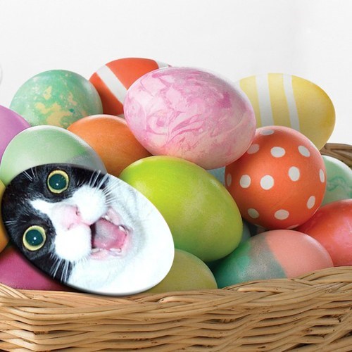 Congratulations!  You Found an Easter Egg!