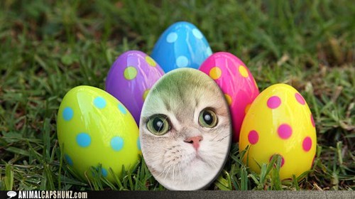 Congratulations!  You Found an Easter Egg!