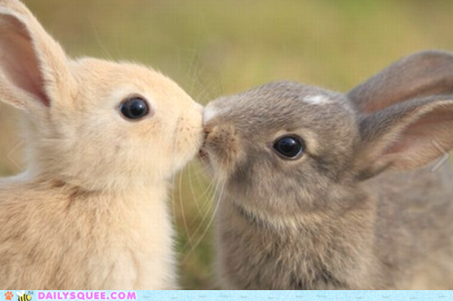 Kissy Kiss