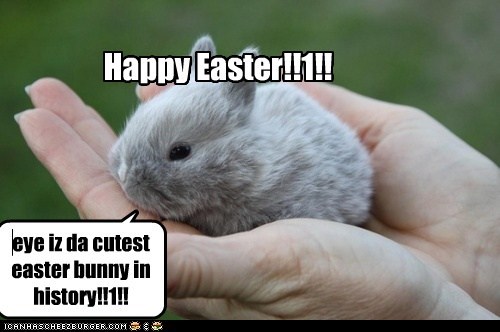 eye iz da cutest easter bunny in history!!1!!