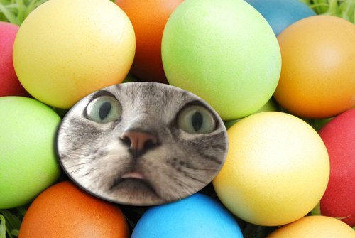 Congratulations!  You Found an Easter Egg!