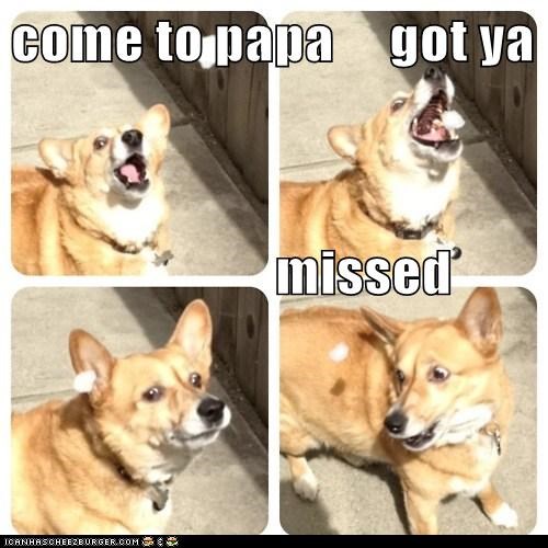 come to papa     got ya                         missed