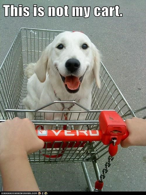 This is not my cart.
