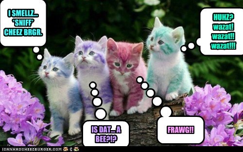 colur kittehz in da natures