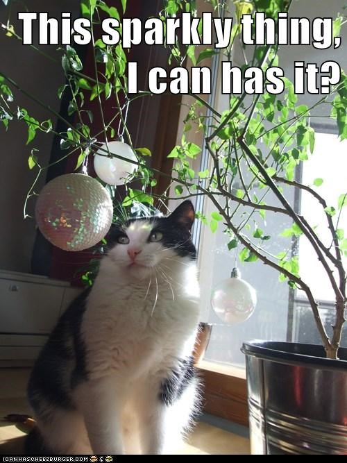 This sparkly thing, I can has it?