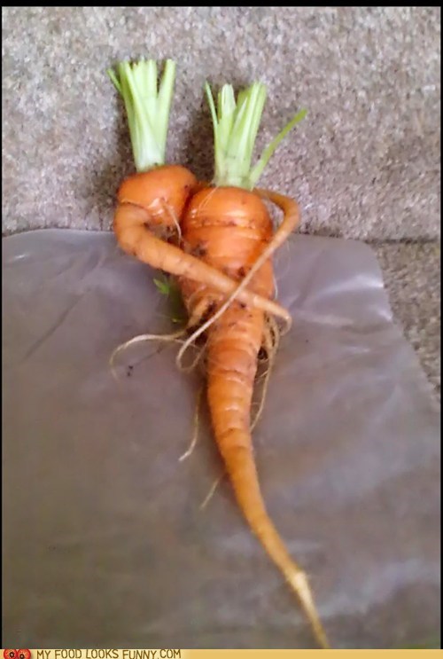 Cuddling Carrots