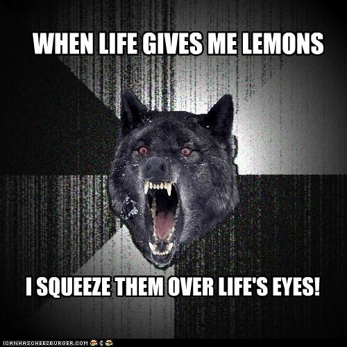 Animal Memes: Insanity Wolf - Make Life Rue the Day