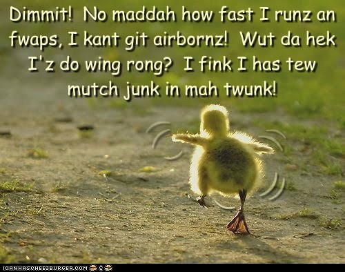 *KANT GIT MAH TAIL END UPS!*