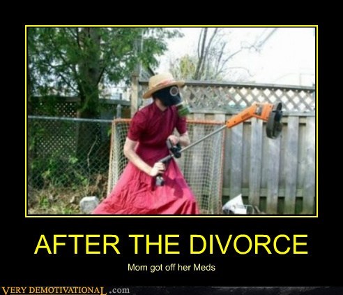 AFTER THE DIVORCE