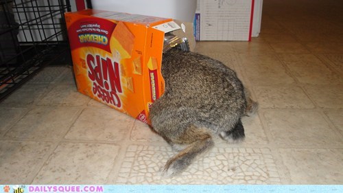 Reader Squees: Snack Time!