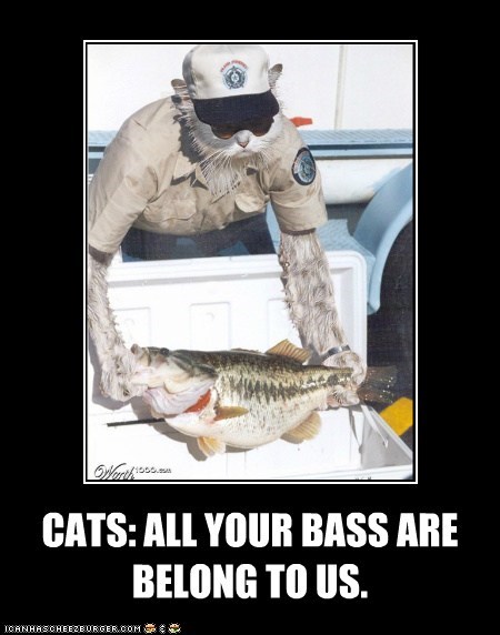 CATS: ALL YOUR BASS ARE BELONG TO US.