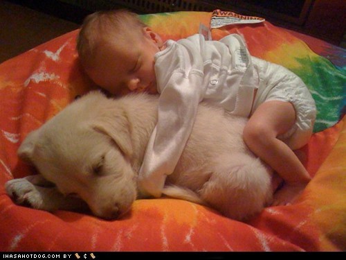 Cyoot Puppy ob teh Day: Spooning