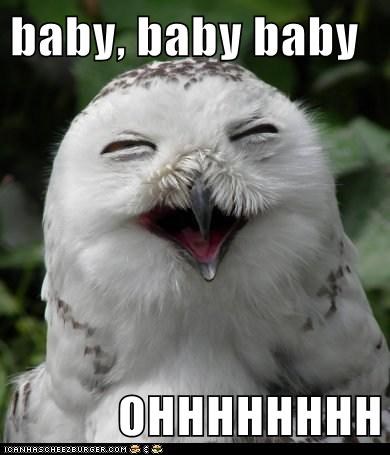 baby, baby baby  OHHHHHHHH