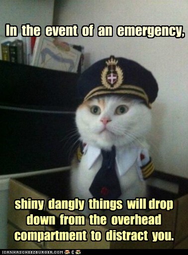 Animal Memes: Captain Kitteh - Meanwhile, I'll Grab the Only Parachute