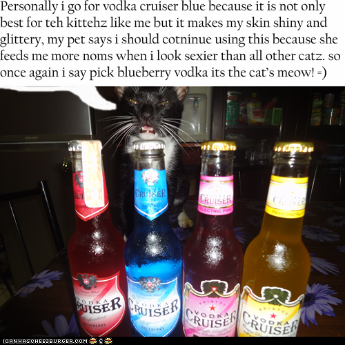 blueberry cat drink
