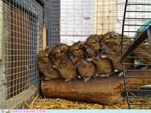 Whatsit Wednesday: Everybody Conga!