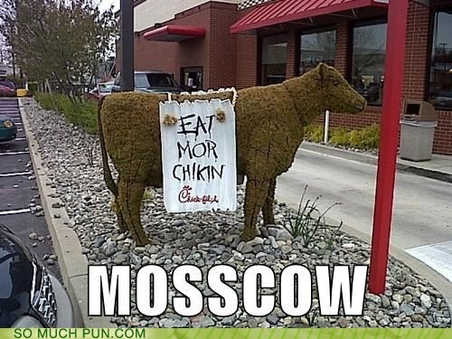 I'll Just Let You Rumen-ate Over This One for a While