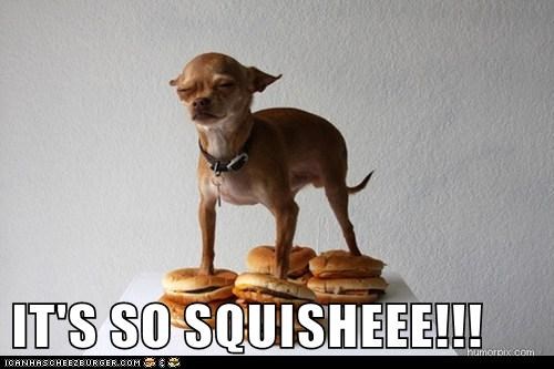 IT'S SO SQUISHEEE!!!