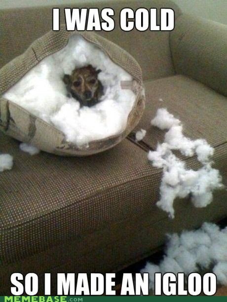 The Tauntaun Couch