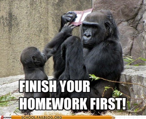 But I Hate Gorilla Math! 