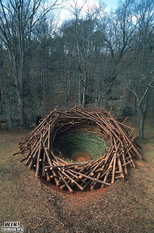 Giant Bird's Nest WIN