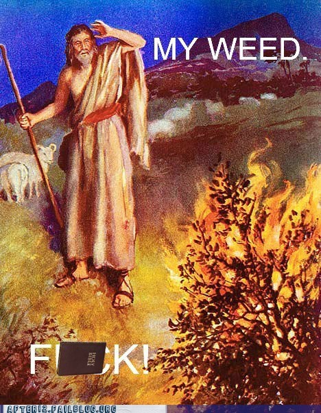 Moses and the Burning Kush