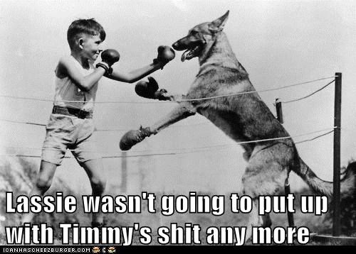 Lassie wasn't going to put up with Timmy's shit any more